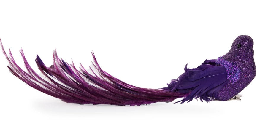 Purple Bird Clip image 0