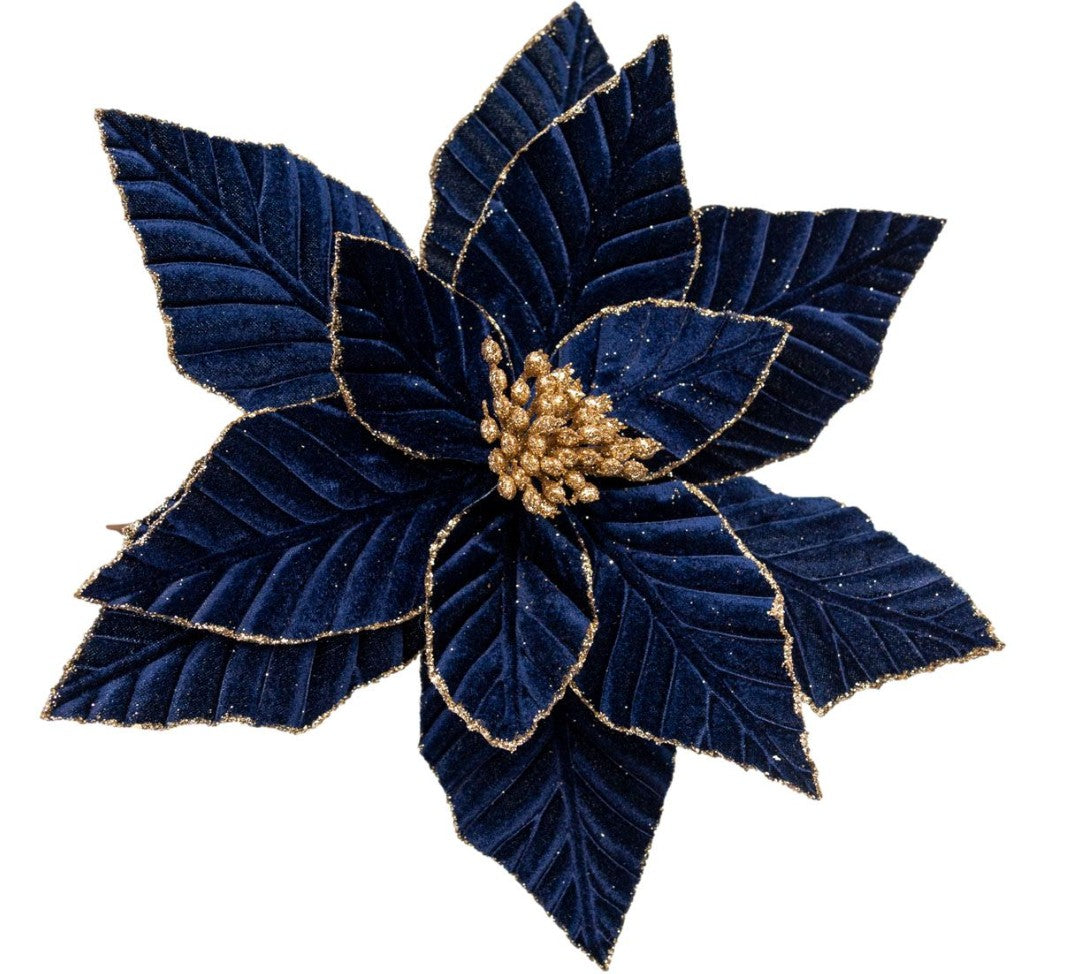 Midnight Blue Poinsettia