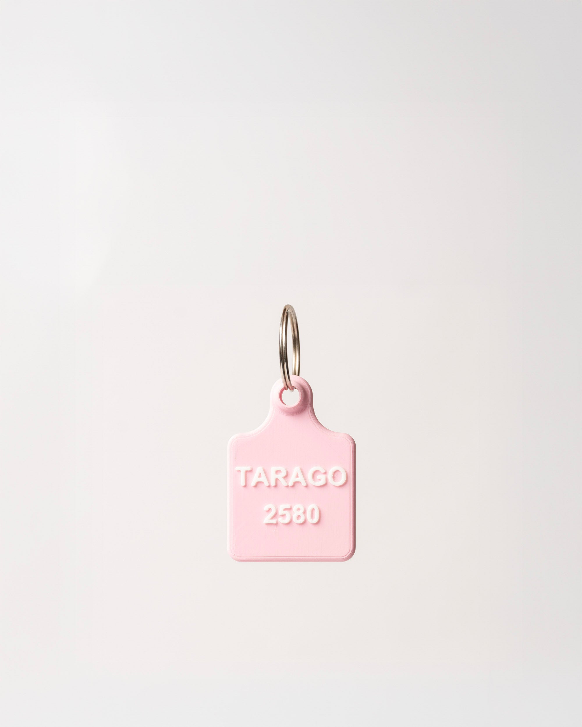 Tarago Keyring